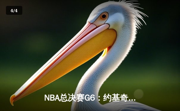 NBA总决赛G6：约基奇三双统治攻防 掘金4-2热火再夺总冠军 - 4